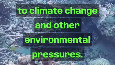 Disturbing FACTS: You won't believe how soon we will lose this in our seas. 😱 #shorts