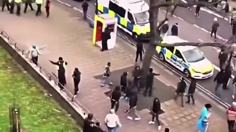 Do you feel culturally enriched yet?