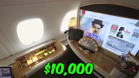 $1 vs $500,000 Plane Ticket!