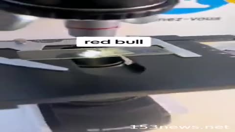 Red Bull under the microscope. Never drink this again!