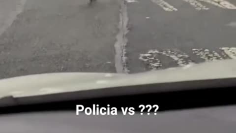 police x birds