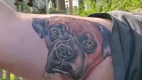 Concrete Mixer Driver's Special Dog Tattoo (R.I.P Doc Holiday) #Shorts