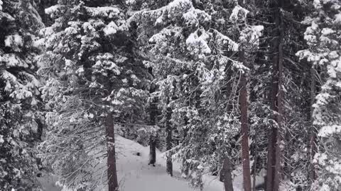 Man Melds Skiing and Babysitting