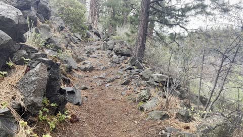 Adventure Exploring the Beautiful Deschutes River Trail – Central Oregon – 4K