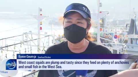 SQUID FISHING IN FULL SWING [KBS WORLD News Today] l KBS WORLD TV 220801