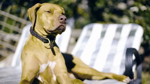 A little rest in the sun