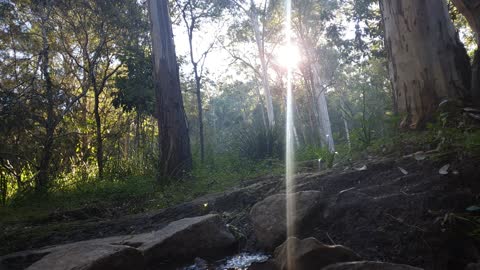 Natural Water Flow- Relaxing