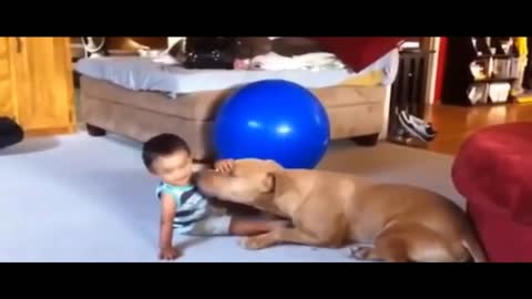 Pitbulls love to play with children