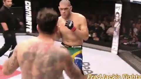 Frank Mir vs Antonio Silva