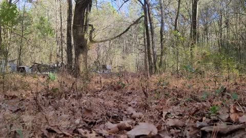 Tannerite versus Refrigerator