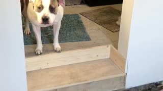 The big scary step (remodel)