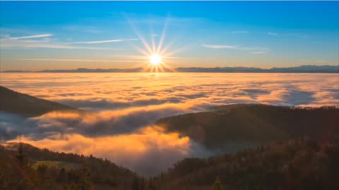 #Carpathians nature