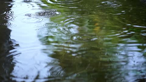 Rain falling on the water of a lake seen up close.