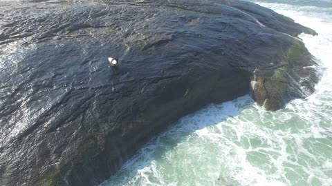 Slipping Surfers Slide into the Surf