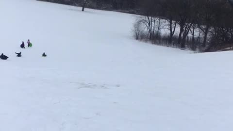 Winter in Chicago | You’re never too old to sled!