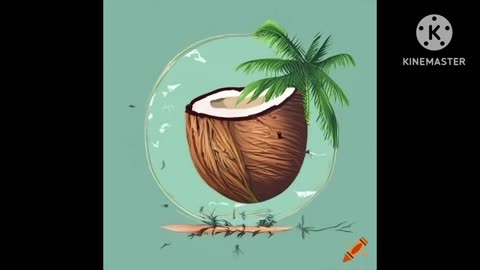 EDM type beat | Coconut Mayhem | 2024