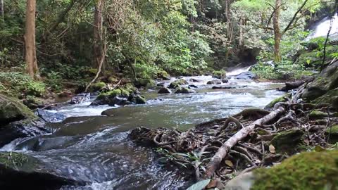 View of a natural river