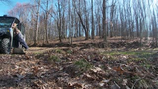 Grinding Down a Chestnut Oak Stump 3_29_2021 Part 1