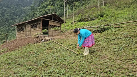 The lonely life in the green forest of a 17-year-old girl, Daily Life, Free Life