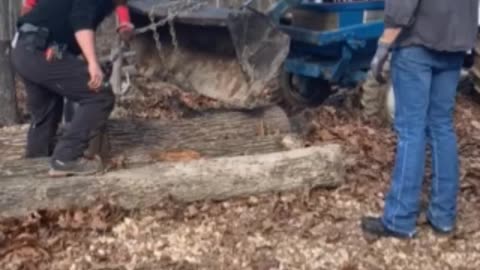 Homesteading, loaded logs on the trailer, and pushing a dead tree over.