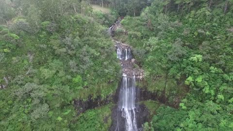 Alexandra falls. Mauritius.