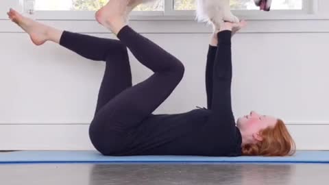 YOGA WITH THE AUSTRALIAN SHEPERD