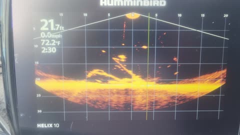 Humminbird Mega live