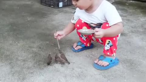 Vídeo de menino alimentando passarinhos de sua mão levará seu fofurômetro a níveis nunca atingidos