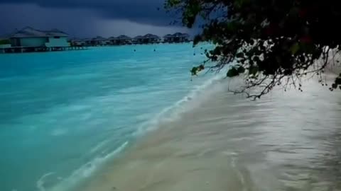 Beautiful sea beach