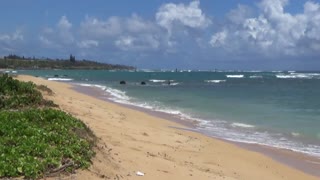 Kapa'a, HI — Fuji Beach