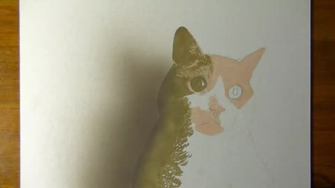 Draw A Picture Of A Watercolor Kitten