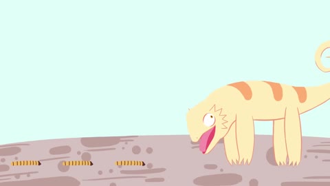 Bearded Dragons Animation