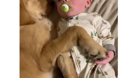 Cute dog with baby 🥰♥️