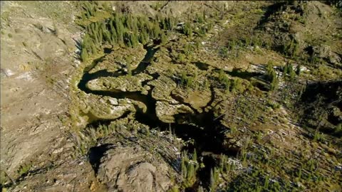 How Beavers Build Dams _ Leave it to Beavers _ PBS.mp4