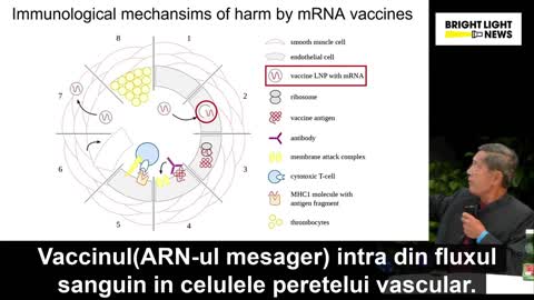 Dr. Sucharit Bhakdi profeteste Apocalipsa Vaccinurilor ARNm