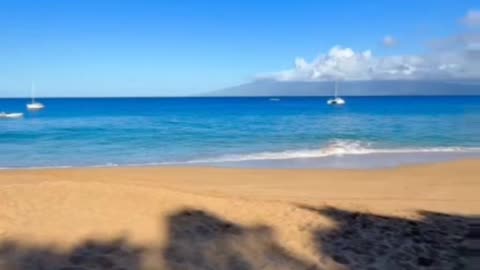 baby 📍Kahekili Beach aka Airport Beach 🏖️ Maui, Hawaii 🌺