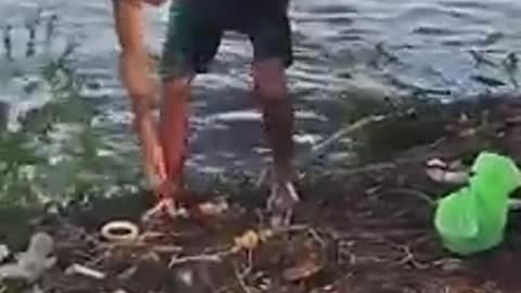 Heart-stopping moment swimmer faces race for his life as alligator closes in