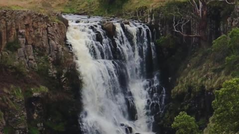 Enchanting Waterfall Oasis: Nature's Beauty Unveiled in the Forest