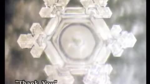 O poder da água completo dublado Dr Massaru Emoto