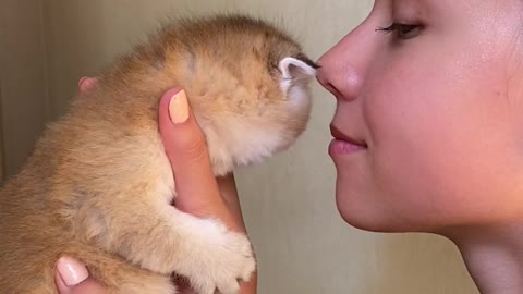 A girl playing with her pet during quarantine times