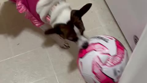 New Soccer Ball 4 Princess