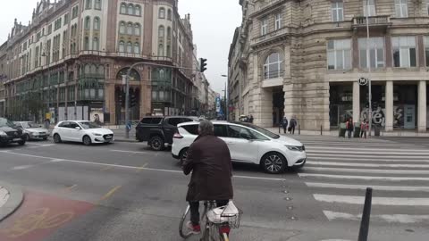 Police Car T-Boned by Toyota Prius