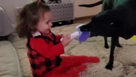 Puppy Toddler Tug of War