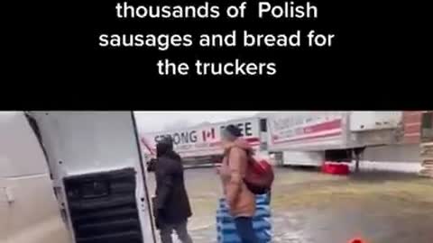 Politics - 2022 Canada Covid Trucker Protests Polish Immigrants To The Rescue FJT