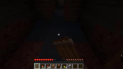 minecrafttiktokhacks_minecrafthacks_minecrafttiktok_shortsminecraft_1 (27)