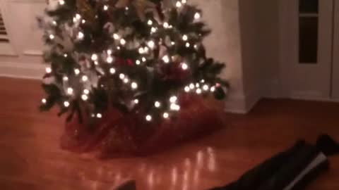 Slowmo ripstick kid on wooden floor falls in front of christmas tree