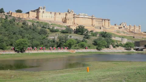 Elephants taking tourists to Amber Fort near Jaipur, Rajasthan, India, Asia