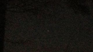 Bright satellite passing overhead Memphis Tennessee