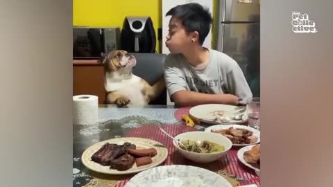 THA FUNNIEST PET VIDEOS FOR KIDS OF THE YEAR | BEST COMPILATION 2024