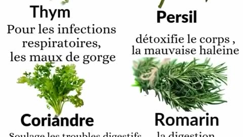 Herbes qui guerissent / Plantes médicinales : remèdes naturels pour votre bien-être